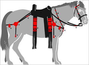 Rm. Pferdegschirr mit Beschlagteilen